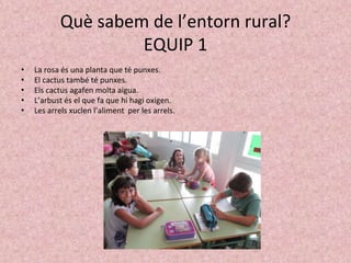 Què sabem de l’entorn rural?
EQUIP 1
• La rosa és una planta que té punxes.
• El cactus també té punxes.
• Els cactus agafen molta aigua.
• L’arbust és el que fa que hi hagi oxigen.
• Les arrels xuclen l’aliment per les arrels.
 