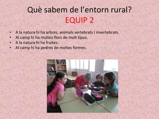 Què sabem de l’entorn rural?
EQUIP 2
• A la natura hi ha arbres, animals vertebrats i invertebrats.
• Al camp hi ha moltes flors de molt tipus.
• A la natura hi ha fruites.
• Al camp hi ha pedres de moltes formes.
 