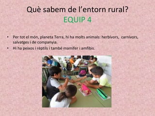 Què sabem de l’entorn rural?
EQUIP 4
• Per tot el món, planeta Terra, hi ha molts animals: herbívors, carnívors,
salvatges i de companyia.
• Hi ha peixos i rèptils i també mamífer i amfibis.
 
