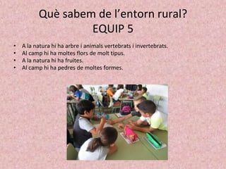 Què sabem de l’entorn rural?
EQUIP 5
• A la natura hi ha arbre i animals vertebrats i invertebrats.
• Al camp hi ha moltes flors de molt tipus.
• A la natura hi ha fruites.
• Al camp hi ha pedres de moltes formes.
 