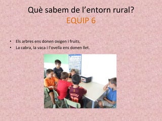 Què sabem de l’entorn rural?
EQUIP 6
• Els arbres ens donen oxigen i fruits.
• La cabra, la vaca i l’ovella ens donen llet.
 