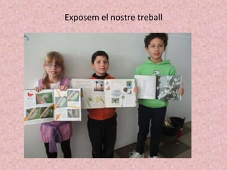 Exposem el nostre treball
 