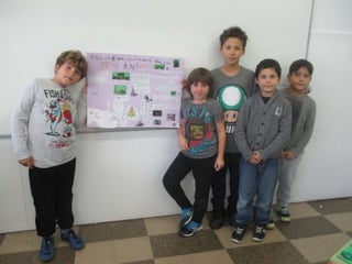 Projecte entorn rural 3r a