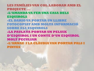 LES FAMÍLIESVAN COL.LABORAR AMB EL
PROJECTE ...
-L’AMANDAVA FER UNA CASA DELS
ESQUIROLS
-EL DARIOVA PORTAR UN LLIBRE
FOTOCOPIAT AMB MOLTA INFORMACIÓ
SOBRE ELS ESQUIROLS
-LA PAULAVA PORTAR UN PELUIX
D’ESQUIROL I UN CONTE D’UN ESQUIROL
MOLT PECULIAR
-L’ARNAU I LA CLÀUDIAVAN PORTAR PALS I
PINYES
 