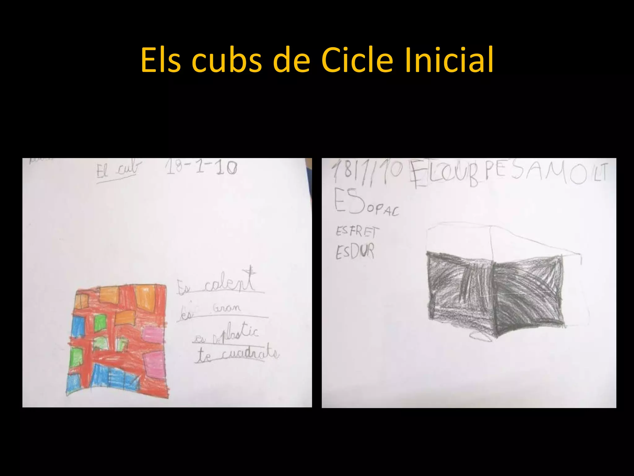 Els cubs de Cicle Inicial 