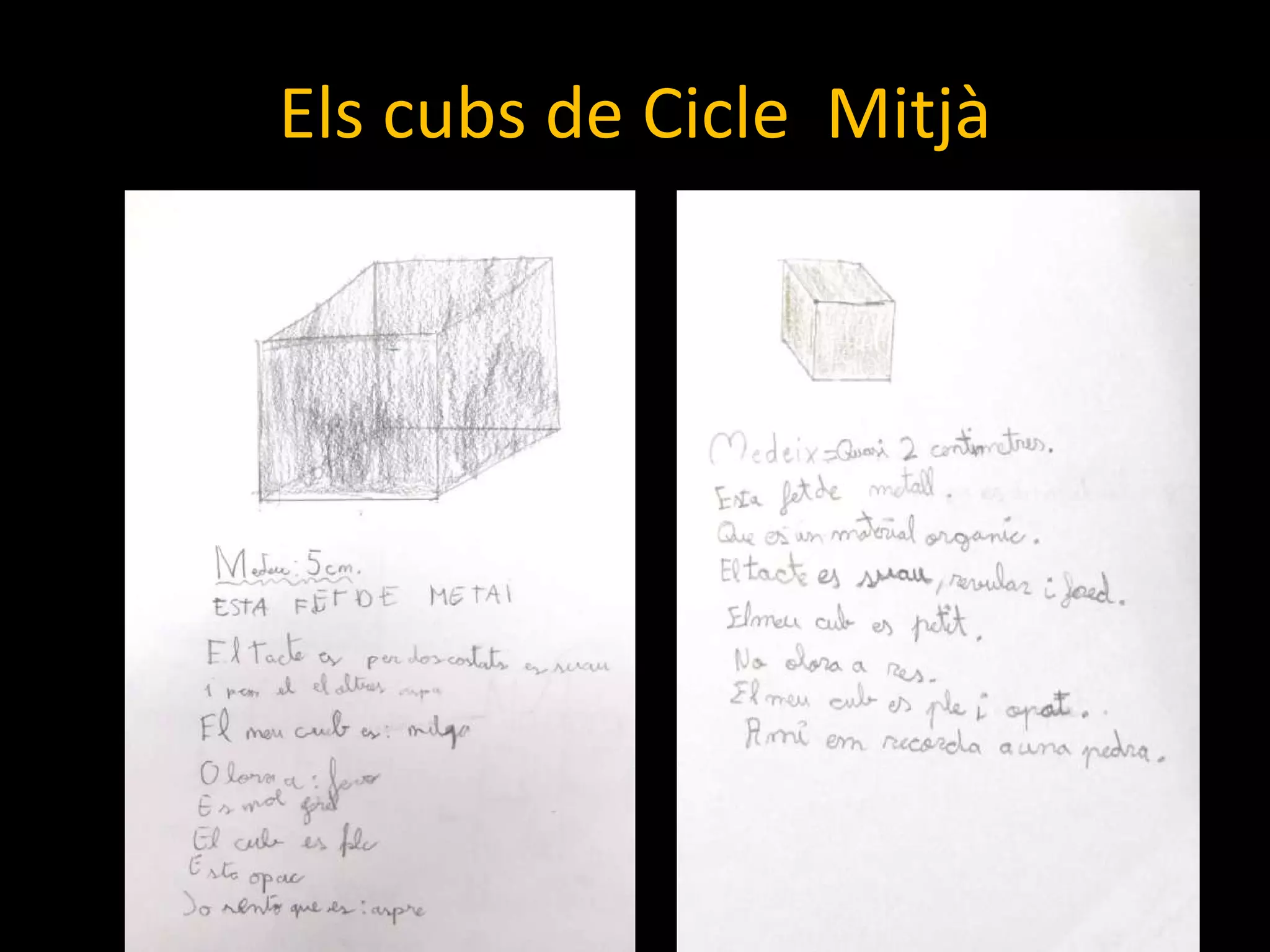Els cubs de Cicle  Mitjà 