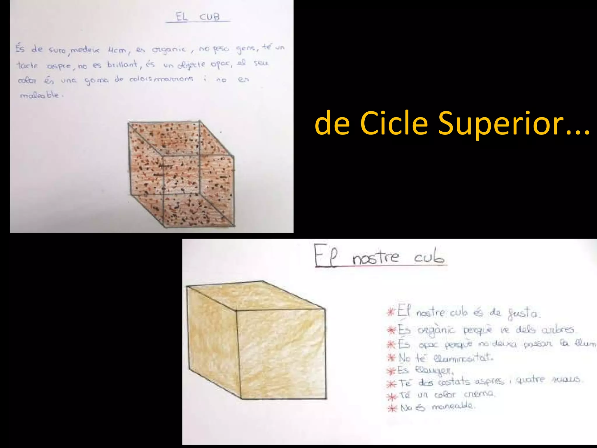 de Cicle Superior... 