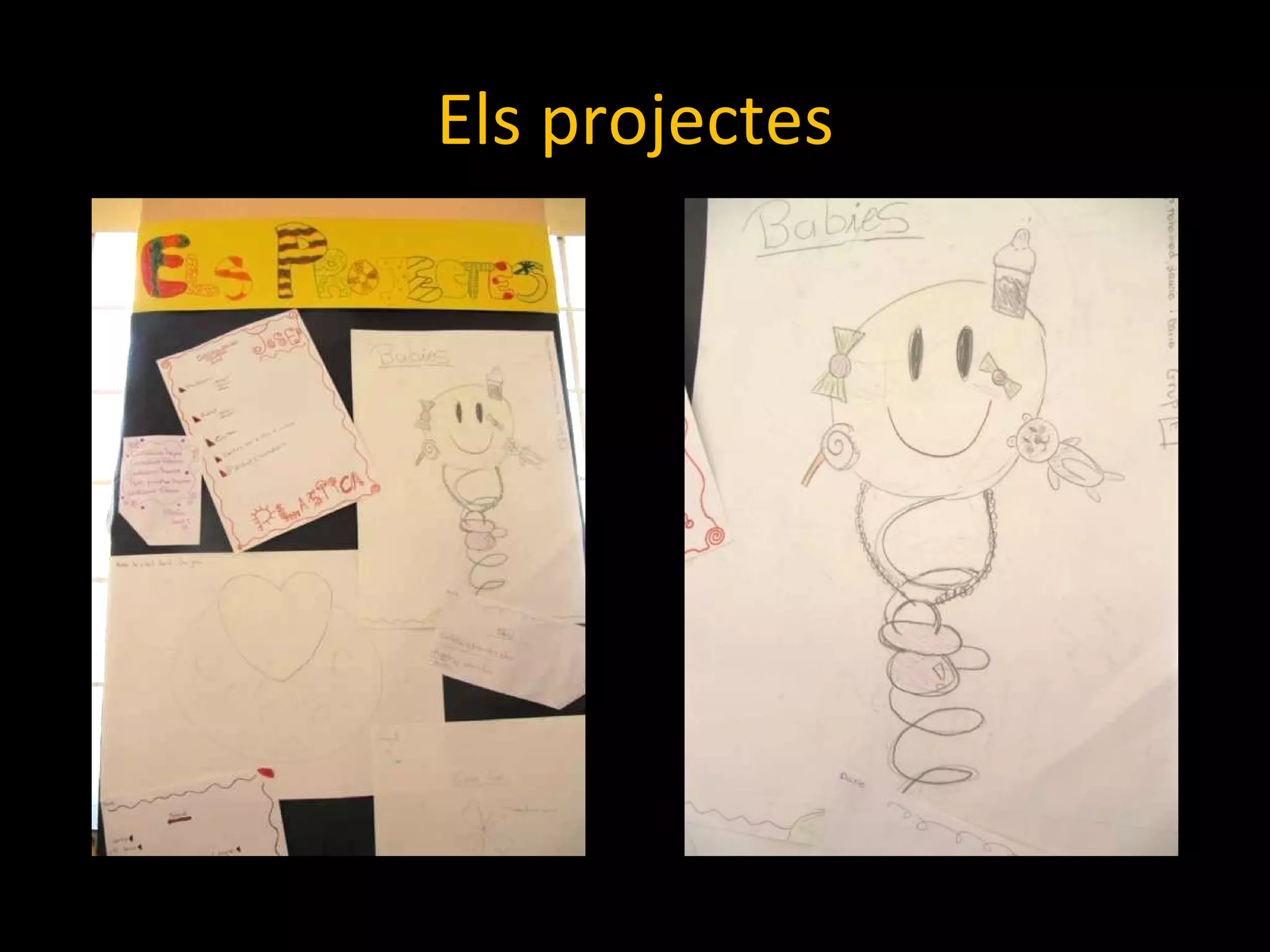 Els projectes 