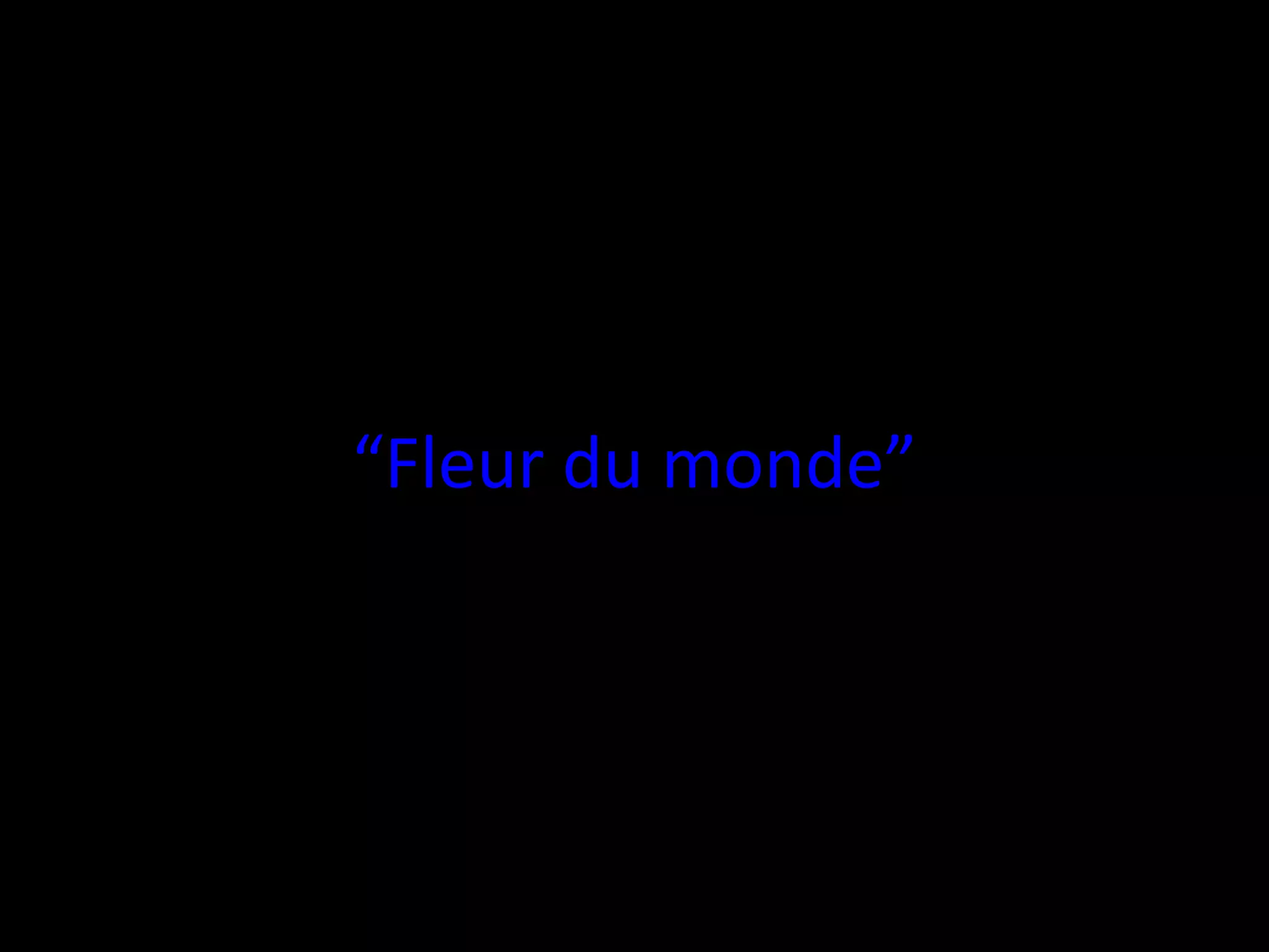 “ Fleur du  monde” 