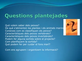 Què volem saber dels peixos?
De què s’alimenten les plantes i els animals marins?
Coneixes com es classifiquen els peixos?
Característiques dels peixos vertebrats?
Característiques dels peixos invertebrats?
Podem fer alguna sortida sobre el projecte?
Com planifiquem la sortida?
Què podem fer per cuidar el fons marí?

Com ens agrupem i organitzem la informació?
 