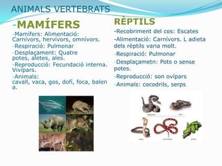 ANIMALS VERTEBRATS
-MAMÍFERS                              RÈPTILS
                                       -Recobriment del cos: Escates
-Mamífers: Alimentació:
Carnívors, hervívors, omnívors.        -Alimentació: Carnívors. L adieta
-Respiració: Pulmonar                  dels rèptils varia molt.
-Desplaçament: Quatre                  -Respiració: Pulmonar
potes, aletes, ales.
                                       -Desplaçametn: Pots o sense
-Reproducció: Fecundació interna.
Vivípars.                              potes.
-Animals:                              -Reproducció: son ovípars
cavall, vaca, gos, dofí, foca, balen   -Animals: cocodrils, serps
a.
 
