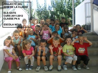 PROJECTE DEL
NOM DE LA CLASSE

ELS GATS
CURS 2011-2012
CLASSE P4 A

ESCOLA NOVA
 