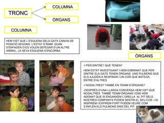 COLUMNA
 TRONC
                            ÒRGANS

   COLUMNA

HEM VIST QUE L’ESQUENA DELS GATS CANVIA DE
POSICIÓ SEGONS L’ESTAT D’ÀNIM. QUAN
S’ENFADEN O ES VOLEN DEFESAR D’UN ALTRE
ANIMAL, LA SEVA ESQUENA S’ENCORBA.

                                                                            ÒRGANS

                                             -I PER DINTRE? QUÈ TENEN?
                                             HEM ESTAT INVESTIGANT I HEM ESBRINAT QUE PER
                                             DINTRE ELS GATS TENEN ÒRGANS. UNS PULMONS QUE
                                             ELS AJUDEN A RESPIRAR I UN COR QUE BATEGA,
                                             ENTRE D’ALTRES.
                                             -I NOSALTRES? TAMBÉ EN TENIM D’ÒRGANS?
                                             -DESPRÉS D’UNA LLARGA CONVERSA HEM VIST QUE
                                             NOSALTRES TAMBÉ TENIM ÒRGANS I ENS HEM
                                             ADONAT QUE SI ENGANXEM L’ORELLA AL PIT DELS
                                             NOSTRES COMPANYS PODEM SENTIR EL SEU COR. I SI
                                             INSPIREM I EXPIREM FORT PODEM VEURE COM
                                             S’INFLEN ELS PULMONS DINS DEL PIT.
 