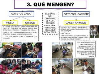 3. QUÈ MENGEN?
          GATS “DE CASA”                       ELS GATS        GATS “DEL CARRER”
                                                 SÓN
                                             OMNÍVORS,
                                               ÉS A DIR,
   PINSO                   GUISOS               MENGEN            CACEN ANIMALS
                                             CARN, PEIX I
ELS GATS QUE VIUEN A CASA PODEN MENJAR
PINSO O     LLAUNES D’ALIMENTS, FETES AMB    VERDURES,      ELS GATS DEL CARRER O BÉ MENGEN
                                                            MENJAR QUE LA GENT ELS VA POSANT O
CARN, PEIX I VERDURES PENSADES PER A ELLS.    IGUAL QUE     HAN DE CAÇAR.
TAMBÉ ELS PODEM PREPARAR GUISOS, ÉS A DIR,   NOSALTRES.     - QUÈ CACEN?
COMPRAR MENJAR I PREPARAR-LI A CASA.
                                                            - HEM DESCOBERT QUE CACEN OCELLS,
- I COM ÉS EL PINSO? QUINA OLOR FA? DE QUÈ
                                                            RATOLINS, SARGANTANES, PAPALLONES,
TÉ GUST?
                                                            PEIXOS,...ALLÒ QUE TROBEN!

                                                                                JOC: A CAÇAR RATOLINS!
                                                                                     UNS SOM GATS I ELS
                                                                                   ALTRES RATOLINS. ELS
                                                                                GATS HEM D’AGAFAR ELS
                                                                                         RATOLINS I ELS
                                                                                 RATOLINS HEM DE FUGIR
                                                                                I AMAGAR-NOS ABANS DE
                                                                                      QUE ELS GATS ENS
                                                                                               AGAFIN!
 