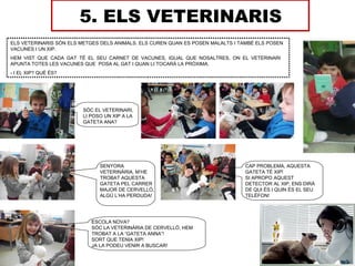 5. ELS VETERINARIS
ELS VETERINARIS SÓN ELS METGES DELS ANIMALS. ELS CUREN QUAN ES POSEN MALALTS I TAMBÉ ELS POSEN
VACUNES I UN XIP.
HEM VIST QUE CADA GAT TÉ EL SEU CARNET DE VACUNES, IGUAL QUE NOSALTRES, ON EL VETERINARI
APUNTA TOTES LES VACUNES QUE POSA AL GAT I QUAN LI TOCARÀ LA PRÒXIMA.
- I EL XIP? QUÈ ÉS?




                         SÓC EL VETERINARI,
                         LI POSO UN XIP A LA
                         GATETA ANA?




                               SENYORA                                          CAP PROBLEMA, AQUESTA
                               VETERINÀRIA, M’HE                                GATETA TÉ XIP!
                               TROBAT AQUESTA                                   SI APROPO AQUEST
                               GATETA PEL CARRER                                DETECTOR AL XIP, ENS DIRÀ
                               MAJOR DE CERVELLÓ,                               DE QUI ÉS I QUIN ÉS EL SEU
                               ALGÚ L’HA PERDUDA!                               TELÈFON!




                            ESCOLA NOVA?
                            SÓC LA VETERINÀRIA DE CERVELLÓ, HEM
                            TROBAT A LA “GATETA ANNA”!
                            SORT QUE TENIA XIP!
                            JA LA PODEU VENIR A BUSCAR!
 