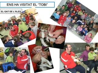ENS HA VISITAT EL “TOBI”

EL GAT DE L’ÀLEX
 