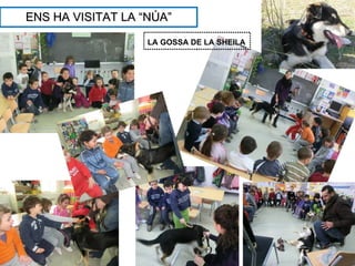 ENS HA VISITAT LA “NÚA”

                   LA GOSSA DE LA SHEILA
 