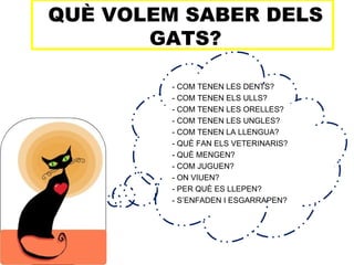 QUÈ VOLEM SABER DELS
       GATS?

         - COM TENEN LES DENTS?
         - COM TENEN ELS ULLS?
         - COM TENEN LES ORELLES?
         - COM TENEN LES UNGLES?
         - COM TENEN LA LLENGUA?
         - QUÈ FAN ELS VETERINARIS?
         - QUÈ MENGEN?
         - COM JUGUEN?
         - ON VIUEN?
         - PER QUÈ ES LLEPEN?
         - S’ENFADEN I ESGARRAPEN?
 