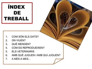 ÍNDEX
   DE
TREBALL


1.   COM SÓN ELS GATS?
2.   ON VIUEN?
3.   QUÈ MENGEN?
4.   COM ES REPRODUEIXEN?
5.   ELS VETERINARIS
6.   AMB QUÈ JUGUEN I AMB QUI JUGUEN?
7.   A MÉS A MES...
 