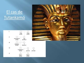 El cas de
Tutankamó
 