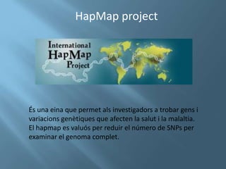 HapMap project




És una eina que permet als investigadors a trobar gens i
variacions genètiques que afecten la salut i la malaltia.
El hapmap es valuós per reduir el número de SNPs per
examinar el genoma complet.
 