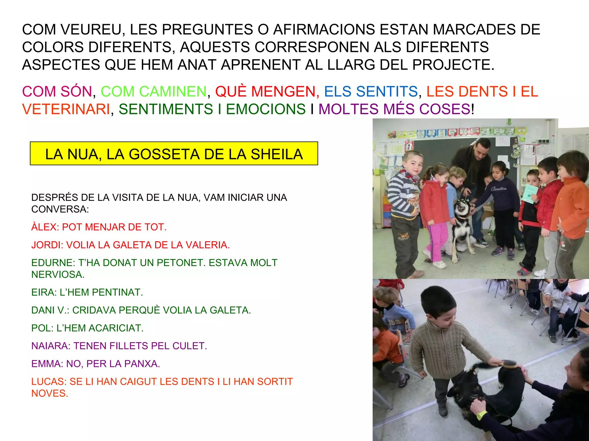 COM VEUREU, LES PREGUNTES O AFIRMACIONS ESTAN MARCADES DE
COLORS DIFERENTS, AQUESTS CORRESPONEN ALS DIFERENTS
ASPECTES QUE HEM ANAT APRENENT AL LLARG DEL PROJECTE.
COM SÓN, COM CAMINEN, QUÈ MENGEN, ELS SENTITS, LES DENTS I EL
VETERINARI, SENTIMENTS I EMOCIONS I MOLTES MÉS COSES!


   LA NUA, LA GOSSETA DE LA SHEILA

 DESPRÉS DE LA VISITA DE LA NUA, VAM INICIAR UNA
 CONVERSA:
 ÀLEX: POT MENJAR DE TOT.
 JORDI: VOLIA LA GALETA DE LA VALERIA.
 EDURNE: T’HA DONAT UN PETONET. ESTAVA MOLT
 NERVIOSA.
 EIRA: L’HEM PENTINAT.
 DANI V.: CRIDAVA PERQUÈ VOLIA LA GALETA.
 POL: L’HEM ACARICIAT.
 NAIARA: TENEN FILLETS PEL CULET.
 EMMA: NO, PER LA PANXA.
 LUCAS: SE LI HAN CAIGUT LES DENTS I LI HAN SORTIT
 NOVES.
 