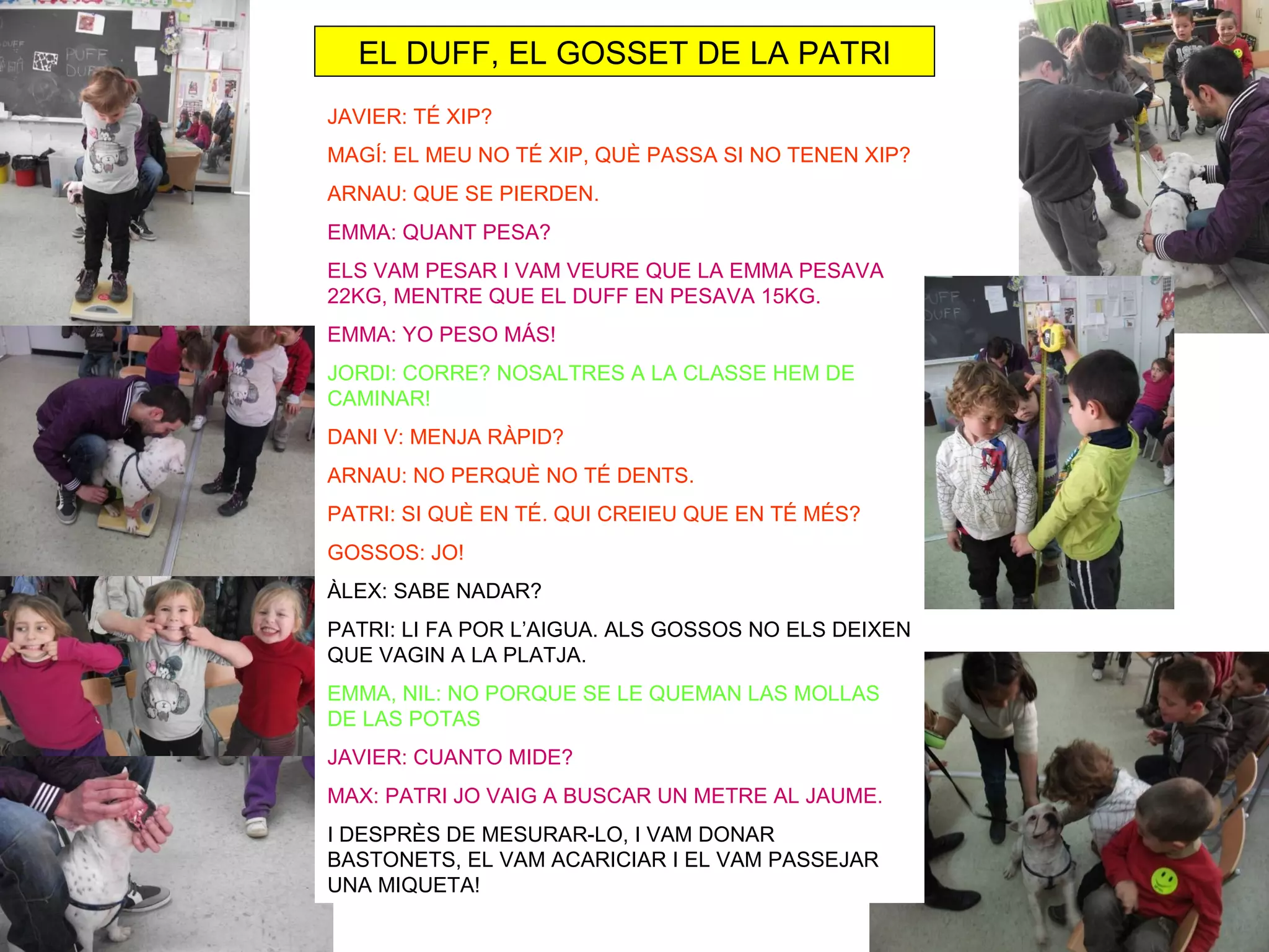 EL DUFF, EL GOSSET DE LA PATRI
JAVIER: TÉ XIP?
MAGÍ: EL MEU NO TÉ XIP, QUÈ PASSA SI NO TENEN XIP?
ARNAU: QUE SE PIERDEN.
EMMA: QUANT PESA?
ELS VAM PESAR I VAM VEURE QUE LA EMMA PESAVA
22KG, MENTRE QUE EL DUFF EN PESAVA 15KG.
EMMA: YO PESO MÁS!
JORDI: CORRE? NOSALTRES A LA CLASSE HEM DE
CAMINAR!
DANI V: MENJA RÀPID?
ARNAU: NO PERQUÈ NO TÉ DENTS.
PATRI: SI QUÈ EN TÉ. QUI CREIEU QUE EN TÉ MÉS?
GOSSOS: JO!
ÀLEX: SABE NADAR?
PATRI: LI FA POR L’AIGUA. ALS GOSSOS NO ELS DEIXEN
QUE VAGIN A LA PLATJA.
EMMA, NIL: NO PORQUE SE LE QUEMAN LAS MOLLAS
DE LAS POTAS
JAVIER: CUANTO MIDE?
MAX: PATRI JO VAIG A BUSCAR UN METRE AL JAUME.
I DESPRÈS DE MESURAR-LO, I VAM DONAR
BASTONETS, EL VAM ACARICIAR I EL VAM PASSEJAR
UNA MIQUETA!
 
