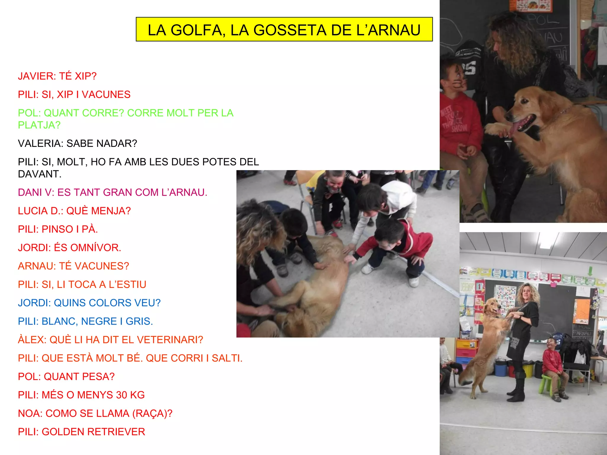 LA GOLFA, LA GOSSETA DE L’ARNAU

JAVIER: TÉ XIP?
PILI: SI, XIP I VACUNES
POL: QUANT CORRE? CORRE MOLT PER LA
PLATJA?
VALERIA: SABE NADAR?
PILI: SI, MOLT, HO FA AMB LES DUES POTES DEL
DAVANT.
DANI V: ES TANT GRAN COM L’ARNAU.
LUCIA D.: QUÈ MENJA?
PILI: PINSO I PÀ.
JORDI: ÉS OMNÍVOR.
ARNAU: TÉ VACUNES?
PILI: SI, LI TOCA A L’ESTIU
JORDI: QUINS COLORS VEU?
PILI: BLANC, NEGRE I GRIS.
ÀLEX: QUÈ LI HA DIT EL VETERINARI?
PILI: QUE ESTÀ MOLT BÉ. QUE CORRI I SALTI.
POL: QUANT PESA?
PILI: MÉS O MENYS 30 KG
NOA: COMO SE LLAMA (RAÇA)?
PILI: GOLDEN RETRIEVER
 