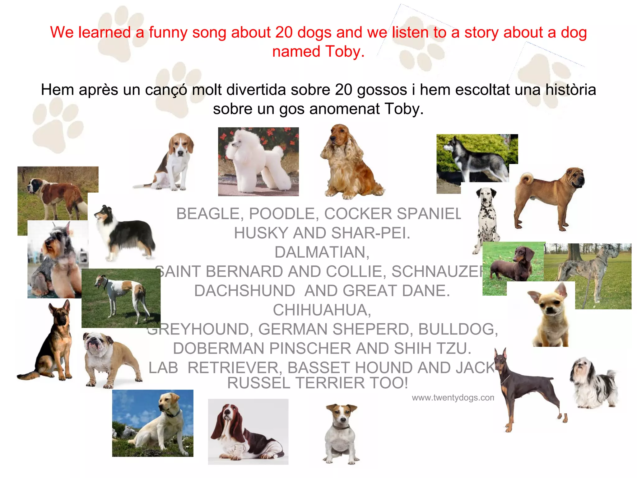 We learned a funny song about 20 dogs and we listen to a story about a dog
                              named Toby.

Hem après un cançó molt divertida sobre 20 gossos i hem escoltat una història
                     sobre un gos anomenat Toby.




                 BEAGLE, POODLE, COCKER SPANIEL,
                        HUSKY AND SHAR-PEI.
                            DALMATIAN,
               SAINT BERNARD AND COLLIE, SCHNAUZER
                   DACHSHUND AND GREAT DANE.
                            CHIHUAHUA,
              GREYHOUND, GERMAN SHEPERD, BULLDOG,
                 DOBERMAN PINSCHER AND SHIH TZU.
              LAB RETRIEVER, BASSET HOUND AND JACK
                       RUSSEL TERRIER TOO!
                                                   www.twentydogs.com
 