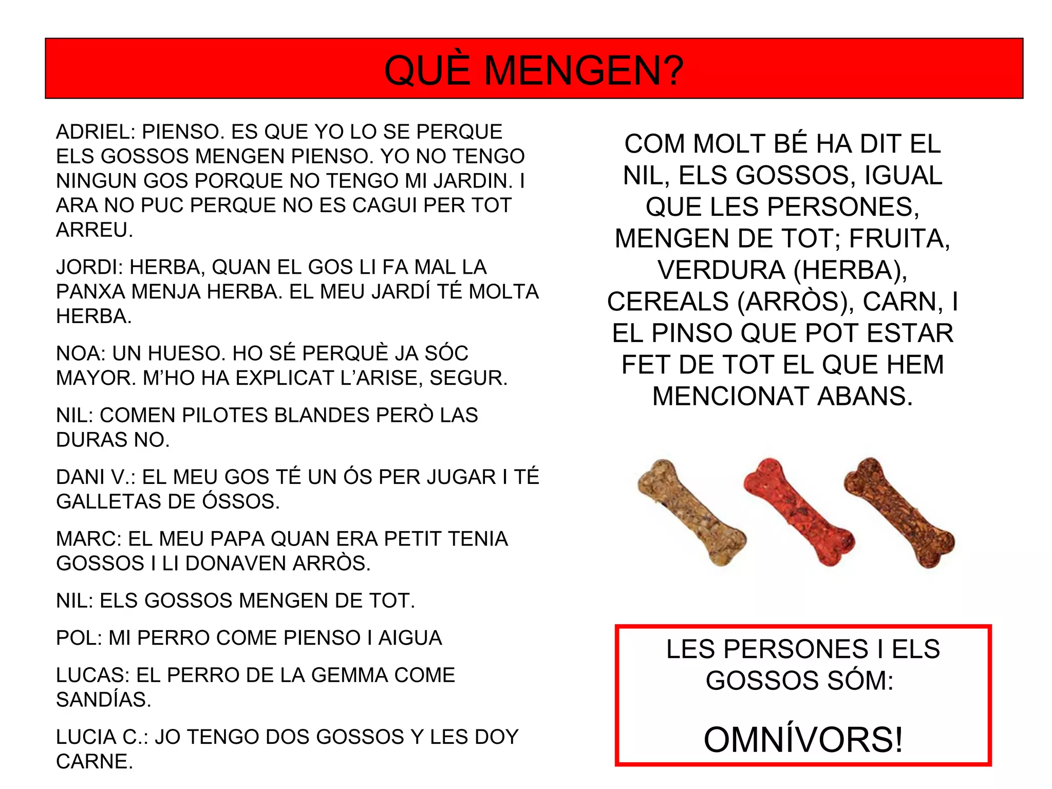 QUÈ MENGEN?
ADRIEL: PIENSO. ES QUE YO LO SE PERQUE
ELS GOSSOS MENGEN PIENSO. YO NO TENGO
                                               COM MOLT BÉ HA DIT EL
NINGUN GOS PORQUE NO TENGO MI JARDIN. I        NIL, ELS GOSSOS, IGUAL
ARA NO PUC PERQUE NO ES CAGUI PER TOT            QUE LES PERSONES,
ARREU.
                                              MENGEN DE TOT; FRUITA,
JORDI: HERBA, QUAN EL GOS LI FA MAL LA            VERDURA (HERBA),
PANXA MENJA HERBA. EL MEU JARDÍ TÉ MOLTA
HERBA.
                                              CEREALS (ARRÒS), CARN, I
                                              EL PINSO QUE POT ESTAR
NOA: UN HUESO. HO SÉ PERQUÈ JA SÓC
MAYOR. M’HO HA EXPLICAT L’ARISE, SEGUR.
                                               FET DE TOT EL QUE HEM
                                                 MENCIONAT ABANS.
NIL: COMEN PILOTES BLANDES PERÒ LAS
DURAS NO.
DANI V.: EL MEU GOS TÉ UN ÓS PER JUGAR I TÉ
GALLETAS DE ÓSSOS.
MARC: EL MEU PAPA QUAN ERA PETIT TENIA
GOSSOS I LI DONAVEN ARRÒS.
NIL: ELS GOSSOS MENGEN DE TOT.
POL: MI PERRO COME PIENSO I AIGUA
                                                  LES PERSONES I ELS
LUCAS: EL PERRO DE LA GEMMA COME                    GOSSOS SÓM:
SANDÍAS.
LUCIA C.: JO TENGO DOS GOSSOS Y LES DOY
CARNE.
                                                    OMNÍVORS!
 