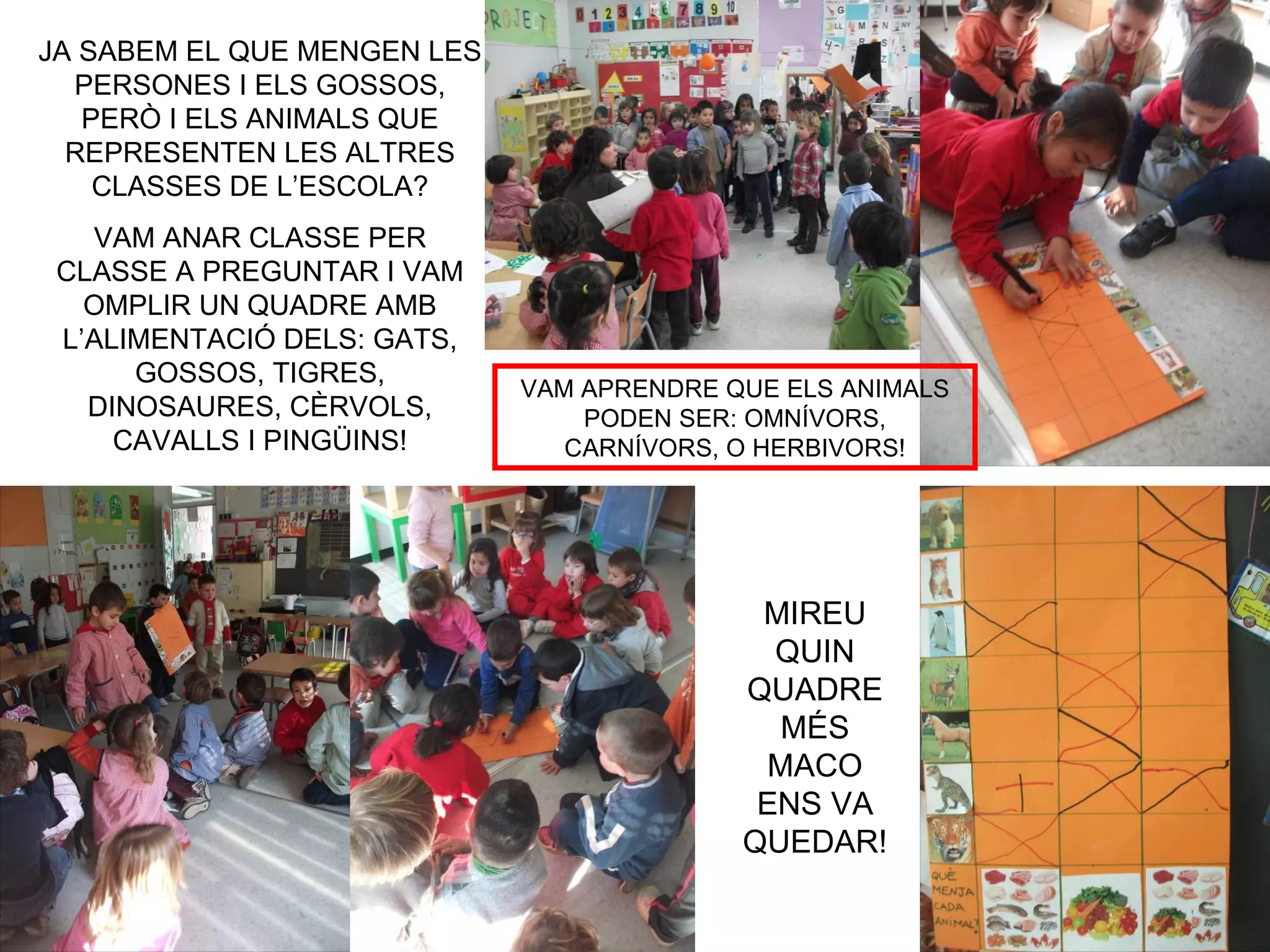 JA SABEM EL QUE MENGEN LES
  PERSONES I ELS GOSSOS,
   PERÒ I ELS ANIMALS QUE
  REPRESENTEN LES ALTRES
    CLASSES DE L’ESCOLA?
   VAM ANAR CLASSE PER
 CLASSE A PREGUNTAR I VAM
   OMPLIR UN QUADRE AMB
 L’ALIMENTACIÓ DELS: GATS,
      GOSSOS, TIGRES,
                             VAM APRENDRE QUE ELS ANIMALS
   DINOSAURES, CÈRVOLS,          PODEN SER: OMNÍVORS,
     CAVALLS I PINGÜINS!        CARNÍVORS, O HERBIVORS!




                                            MIREU
                                             QUIN
                                           QUADRE
                                             MÉS
                                            MACO
                                            ENS VA
                                           QUEDAR!
 