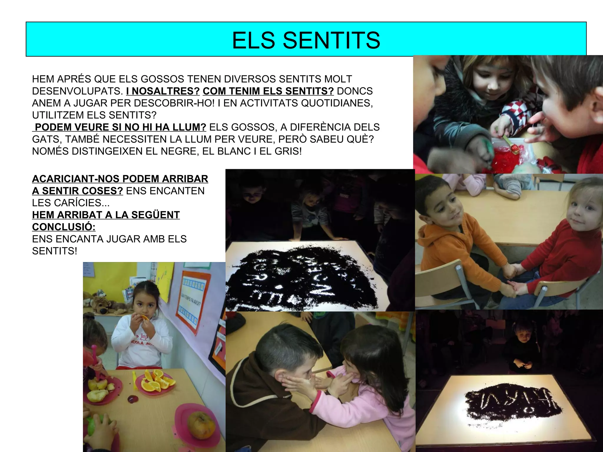 ELS SENTITS
HEM APRÉS QUE ELS GOSSOS TENEN DIVERSOS SENTITS MOLT
DESENVOLUPATS. I NOSALTRES? COM TENIM ELS SENTITS? DONCS
ANEM A JUGAR PER DESCOBRIR-HO! I EN ACTIVITATS QUOTIDIANES,
UTILITZEM ELS SENTITS?
PODEM VEURE SI NO HI HA LLUM? ELS GOSSOS, A DIFERÈNCIA DELS
GATS, TAMBÉ NECESSITEN LA LLUM PER VEURE, PERÒ SABEU QUÈ?
NOMÉS DISTINGEIXEN EL NEGRE, EL BLANC I EL GRIS!

ACARICIANT-NOS PODEM ARRIBAR
A SENTIR COSES? ENS ENCANTEN
LES CARÍCIES...
HEM ARRIBAT A LA SEGÜENT
CONCLUSIÓ:
ENS ENCANTA JUGAR AMB ELS
SENTITS!
 