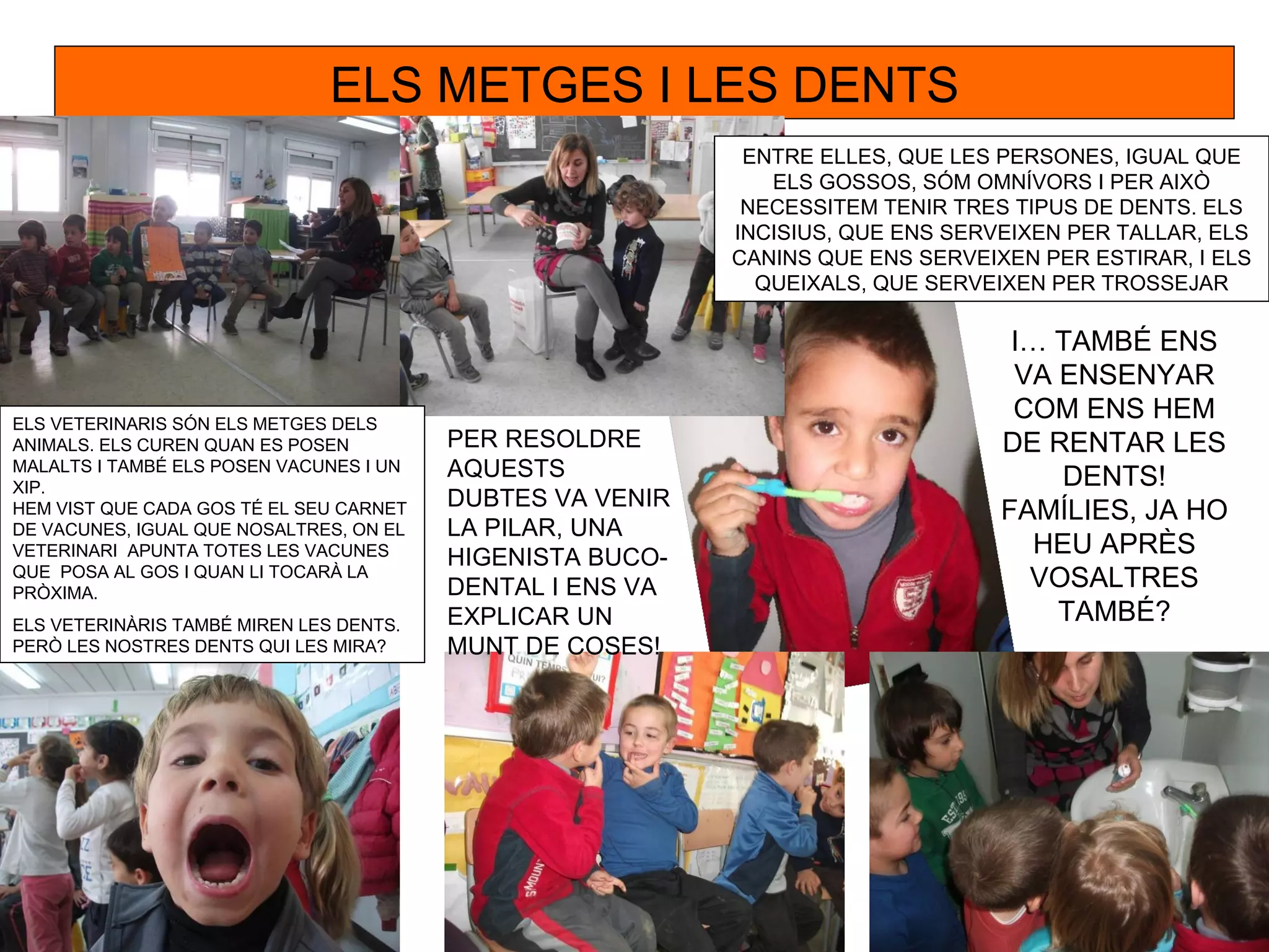 ELS METGES I LES DENTS
                                                            ENTRE ELLES, QUE LES PERSONES, IGUAL QUE
                                                              ELS GOSSOS, SÓM OMNÍVORS I PER AIXÒ
                                                            NECESSITEM TENIR TRES TIPUS DE DENTS. ELS
                                                           INCISIUS, QUE ENS SERVEIXEN PER TALLAR, ELS
                                                           CANINS QUE ENS SERVEIXEN PER ESTIRAR, I ELS
                                                             QUEIXALS, QUE SERVEIXEN PER TROSSEJAR

                                                                                  I… TAMBÉ ENS
                                                                                  VA ENSENYAR
ELS VETERINARIS SÓN ELS METGES DELS
                                                                                  COM ENS HEM
ANIMALS. ELS CUREN QUAN ES POSEN         PER RESOLDRE                            DE RENTAR LES
MALALTS I TAMBÉ ELS POSEN VACUNES I UN   AQUESTS                                      DENTS!
XIP.
                                         DUBTES VA VENIR
HEM VIST QUE CADA GOS TÉ EL SEU CARNET                                           FAMÍLIES, JA HO
DE VACUNES, IGUAL QUE NOSALTRES, ON EL   LA PILAR, UNA
VETERINARI APUNTA TOTES LES VACUNES      HIGENISTA BUCO-                            HEU APRÈS
QUE POSA AL GOS I QUAN LI TOCARÀ LA
PRÒXIMA.                                 DENTAL I ENS VA                           VOSALTRES
ELS VETERINÀRIS TAMBÉ MIREN LES DENTS.   EXPLICAR UN                                 TAMBÉ?
PERÒ LES NOSTRES DENTS QUI LES MIRA?     MUNT DE COSES!
 