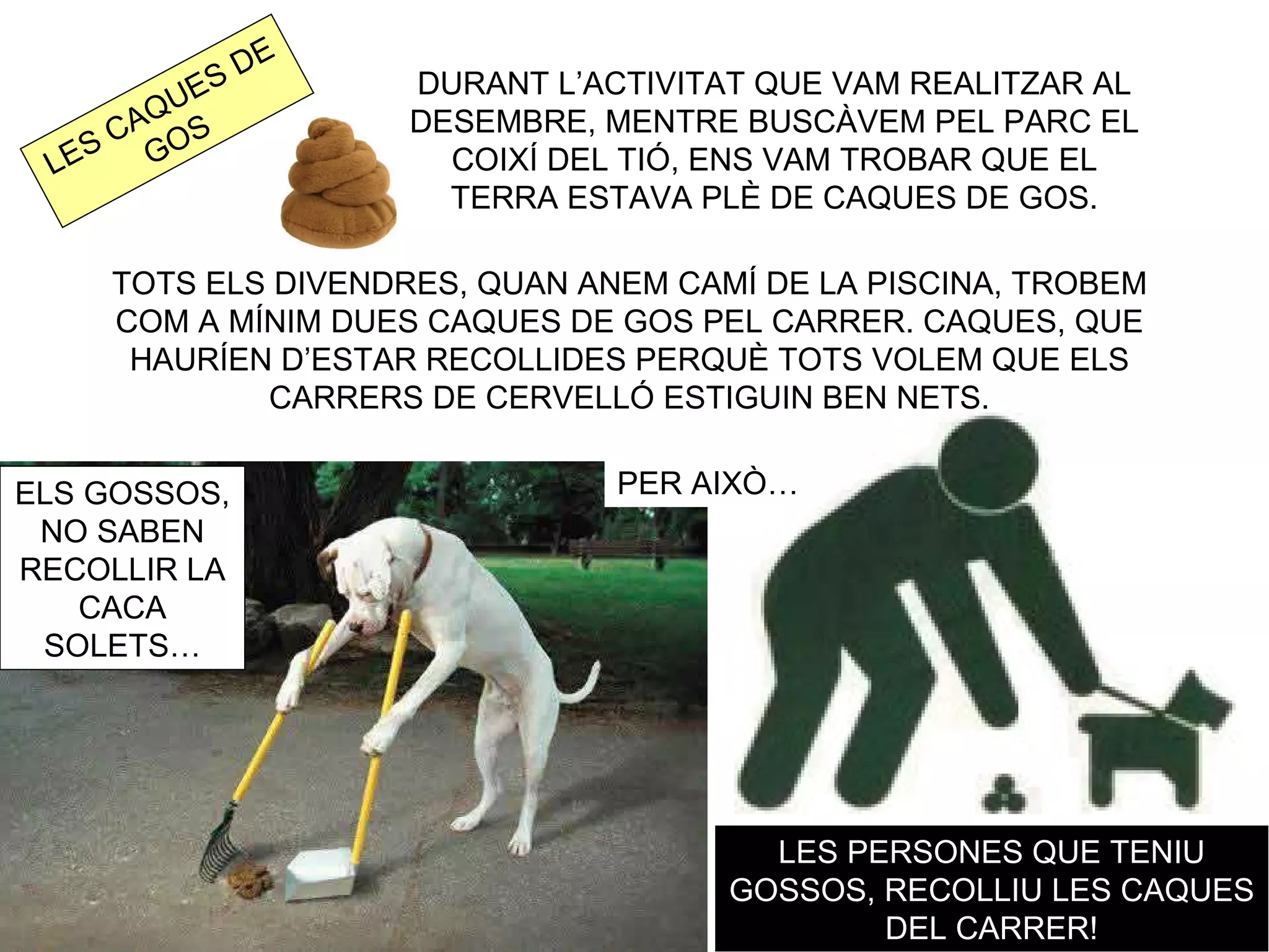 E
         E SD       DURANT L’ACTIVITAT QUE VAM REALITZAR AL
       QU           DESEMBRE, MENTRE BUSCÀVEM PEL PARC EL
     CA OS
    S G
 LE                   COIXÍ DEL TIÓ, ENS VAM TROBAR QUE EL
                      TERRA ESTAVA PLÈ DE CAQUES DE GOS.

    TOTS ELS DIVENDRES, QUAN ANEM CAMÍ DE LA PISCINA, TROBEM
    COM A MÍNIM DUES CAQUES DE GOS PEL CARRER. CAQUES, QUE
     HAURÍEN D’ESTAR RECOLLIDES PERQUÈ TOTS VOLEM QUE ELS
            CARRERS DE CERVELLÓ ESTIGUIN BEN NETS.


ELS GOSSOS,                    PER AIXÒ…
 NO SABEN
RECOLLIR LA
   CACA
 SOLETS…




                                       LES PERSONES QUE TENIU
                                     GOSSOS, RECOLLIU LES CAQUES
                                             DEL CARRER!
 