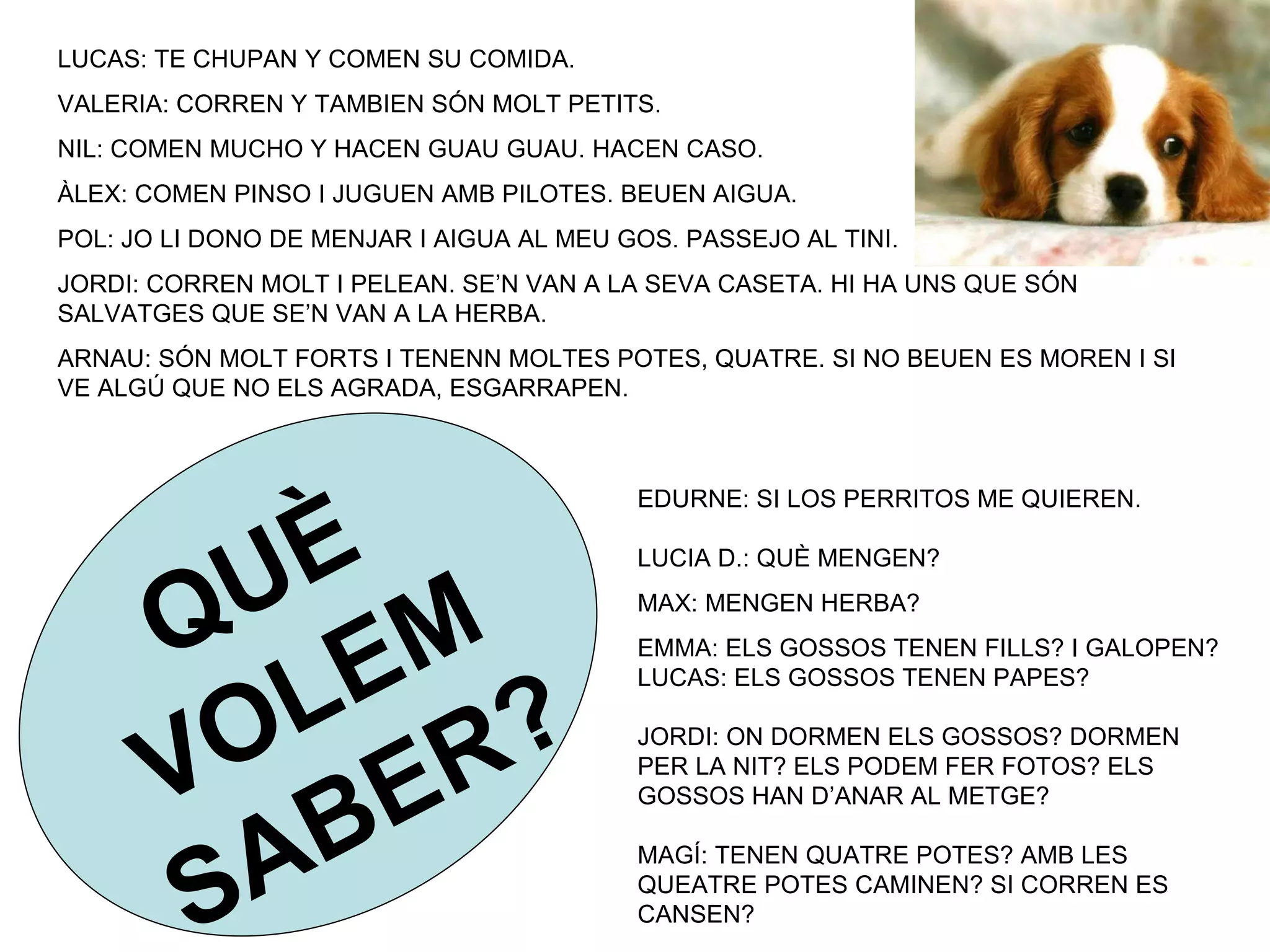 LUCAS: TE CHUPAN Y COMEN SU COMIDA.
VALERIA: CORREN Y TAMBIEN SÓN MOLT PETITS.
NIL: COMEN MUCHO Y HACEN GUAU GUAU. HACEN CASO.
ÀLEX: COMEN PINSO I JUGUEN AMB PILOTES. BEUEN AIGUA.
POL: JO LI DONO DE MENJAR I AIGUA AL MEU GOS. PASSEJO AL TINI.
JORDI: CORREN MOLT I PELEAN. SE’N VAN A LA SEVA CASETA. HI HA UNS QUE SÓN
SALVATGES QUE SE’N VAN A LA HERBA.
ARNAU: SÓN MOLT FORTS I TENENN MOLTES POTES, QUATRE. SI NO BEUEN ES MOREN I SI
VE ALGÚ QUE NO ELS AGRADA, ESGARRAPEN.



                                          EDURNE: SI LOS PERRITOS ME QUIEREN.


           È
         U M
                                          LUCIA D.: QUÈ MENGEN?


       Q E                                MAX: MENGEN HERBA?
                                          EMMA: ELS GOSSOS TENEN FILLS? I GALOPEN?


           L
         O R?
                                          LUCAS: ELS GOSSOS TENEN PAPES?



       V
                                          JORDI: ON DORMEN ELS GOSSOS? DORMEN


              E
                                          PER LA NIT? ELS PODEM FER FOTOS? ELS


            B
                                          GOSSOS HAN D’ANAR AL METGE?




        S A                               MAGÍ: TENEN QUATRE POTES? AMB LES
                                          QUEATRE POTES CAMINEN? SI CORREN ES
                                          CANSEN?
 