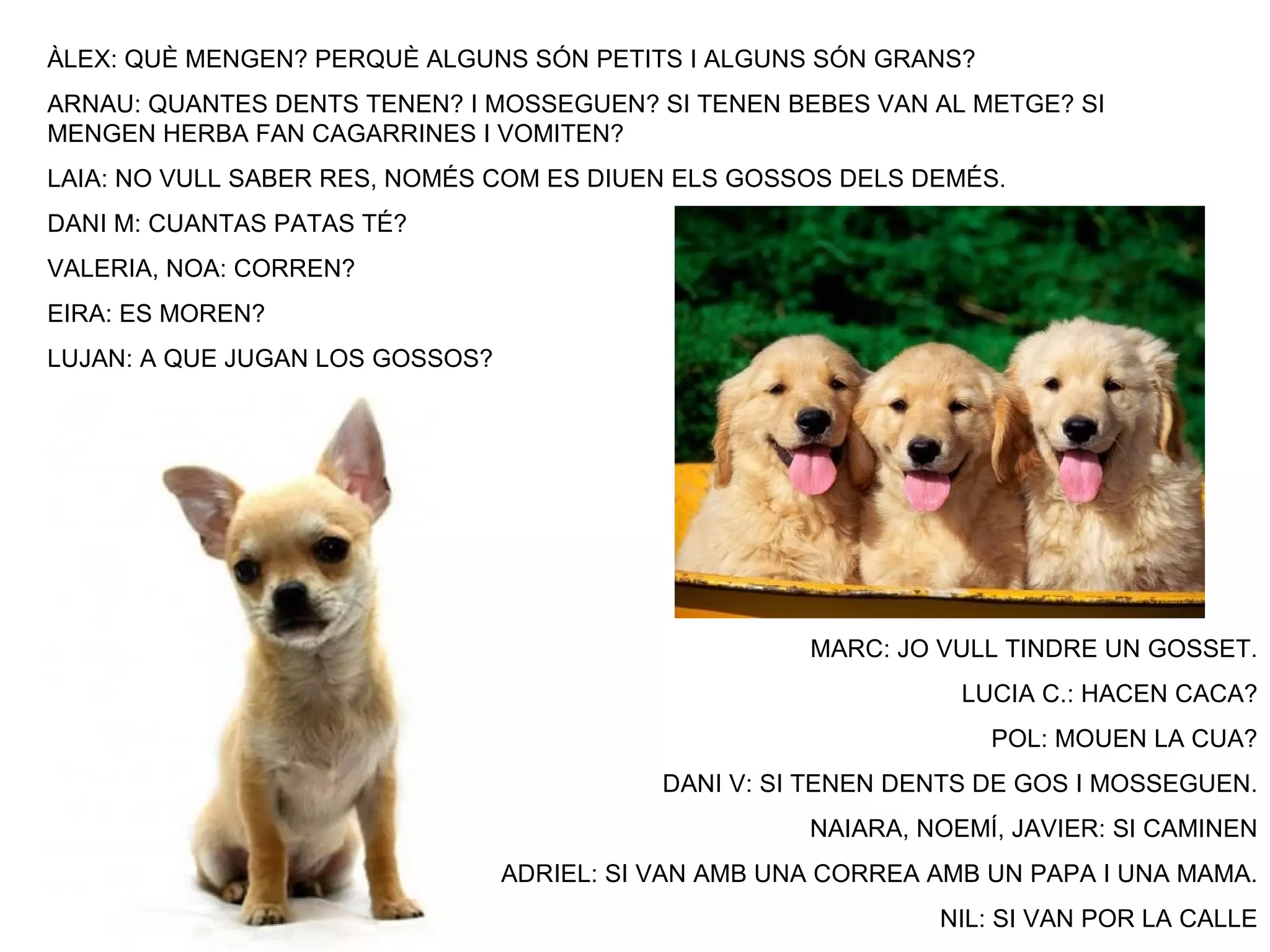 ÀLEX: QUÈ MENGEN? PERQUÈ ALGUNS SÓN PETITS I ALGUNS SÓN GRANS?
ARNAU: QUANTES DENTS TENEN? I MOSSEGUEN? SI TENEN BEBES VAN AL METGE? SI
MENGEN HERBA FAN CAGARRINES I VOMITEN?
LAIA: NO VULL SABER RES, NOMÉS COM ES DIUEN ELS GOSSOS DELS DEMÉS.
DANI M: CUANTAS PATAS TÉ?
VALERIA, NOA: CORREN?
EIRA: ES MOREN?
LUJAN: A QUE JUGAN LOS GOSSOS?




                                                      MARC: JO VULL TINDRE UN GOSSET.
                                                                 LUCIA C.: HACEN CACA?
                                                                   POL: MOUEN LA CUA?
                                            DANI V: SI TENEN DENTS DE GOS I MOSSEGUEN.
                                                      NAIARA, NOEMÍ, JAVIER: SI CAMINEN
                                 ADRIEL: SI VAN AMB UNA CORREA AMB UN PAPA I UNA MAMA.
                                                               NIL: SI VAN POR LA CALLE
 