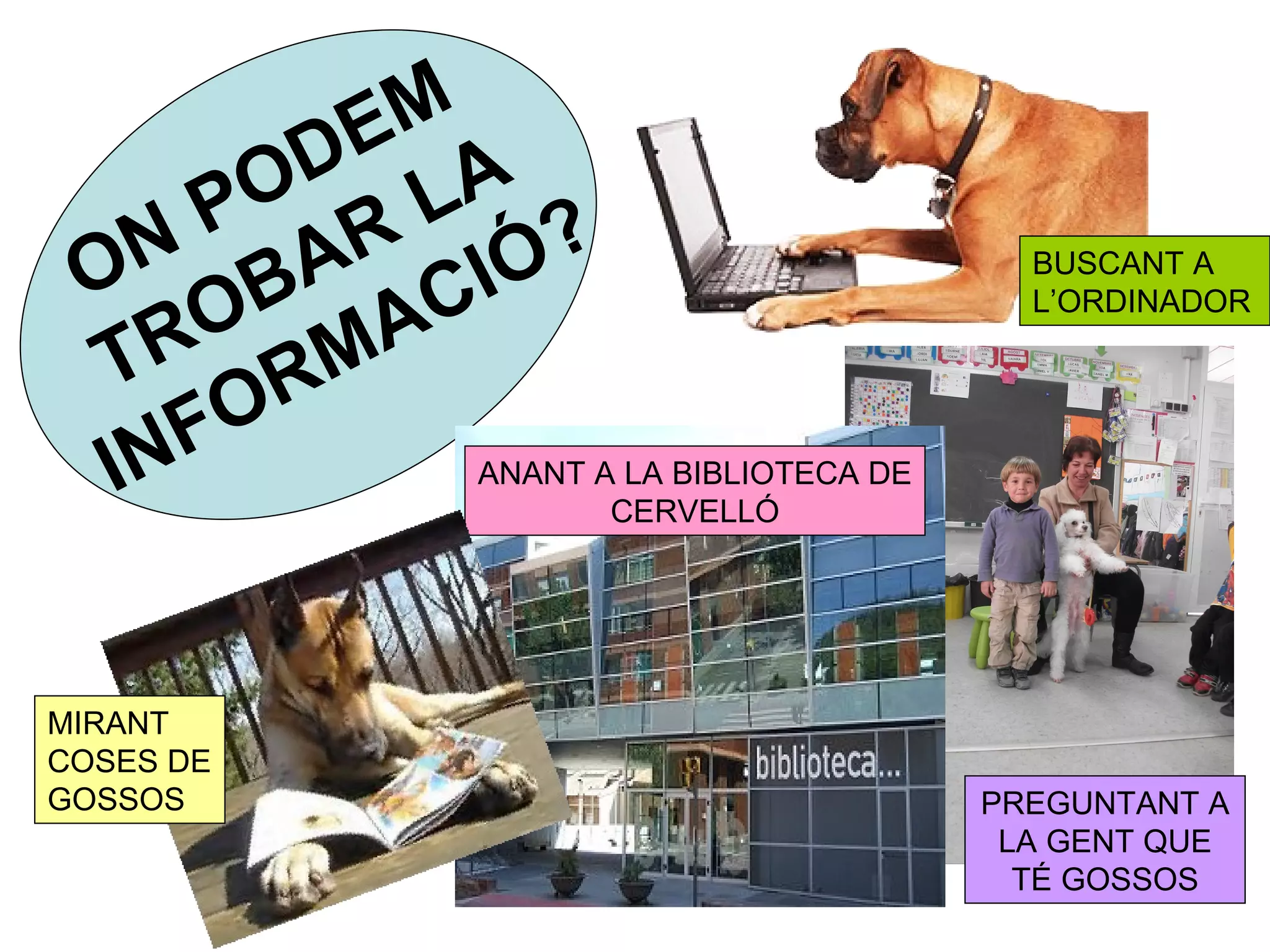 EM
        D A
   N  PO R L ?
 O      A CIÓ
       B A
                                         BUSCANT A

     O                                   L’ORDINADOR

  TR RM
  IN FO     ANANT A LA BIBLIOTECA DE
                   CERVELLÓ




MIRANT
COSES DE
GOSSOS                                 PREGUNTANT A
                                        LA GENT QUE
                                         TÉ GOSSOS
 