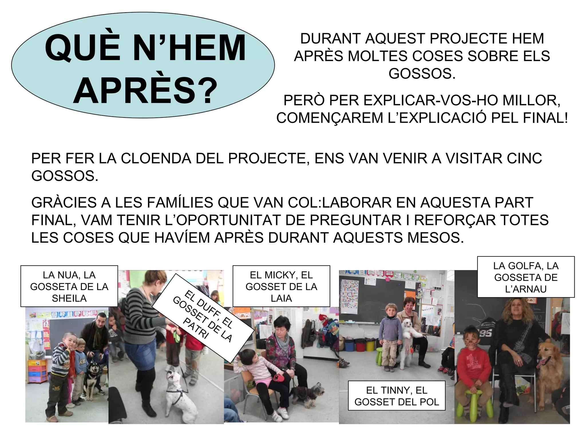 QUÈ N’HEM                              DURANT AQUEST PROJECTE HEM
                                        APRÈS MOLTES COSES SOBRE ELS
                                                  GOSSOS.
   APRÈS?                             PERÒ PER EXPLICAR-VOS-HO MILLOR,
                                     COMENÇAREM L’EXPLICACIÓ PEL FINAL!

PER FER LA CLOENDA DEL PROJECTE, ENS VAN VENIR A VISITAR CINC
GOSSOS.
GRÀCIES A LES FAMÍLIES QUE VAN COL:LABORAR EN AQUESTA PART
FINAL, VAM TENIR L’OPORTUNITAT DE PREGUNTAR I REFORÇAR TOTES
LES COSES QUE HAVÍEM APRÈS DURANT AQUESTS MESOS.
                                                                 LA GOLFA, LA
  LA NUA, LA                     EL MICKY, EL                    GOSSETA DE
GOSSETA DE LA                   GOSSET DE LA                       L’ARNAU
                  E
    SHEILA      GO L D               LAIA
                  SS U F
                    E F
                  PA T D , EL
                    TR E
                       I LA




                                                  EL TINNY, EL
                                                GOSSET DEL POL
 