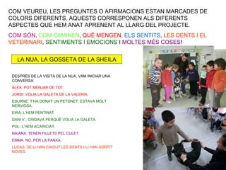 COM VEUREU, LES PREGUNTES O AFIRMACIONS ESTAN MARCADES DE
COLORS DIFERENTS, AQUESTS CORRESPONEN ALS DIFERENTS
ASPECTES QUE HEM ANAT APRENENT AL LLARG DEL PROJECTE.
COM SÓN, COM CAMINEN, QUÈ MENGEN, ELS SENTITS, LES DENTS I EL
VETERINARI, SENTIMENTS I EMOCIONS I MOLTES MÉS COSES!


   LA NUA, LA GOSSETA DE LA SHEILA

 DESPRÉS DE LA VISITA DE LA NUA, VAM INICIAR UNA
 CONVERSA:
 ÀLEX: POT MENJAR DE TOT.
 JORDI: VOLIA LA GALETA DE LA VALERIA.
 EDURNE: T’HA DONAT UN PETONET. ESTAVA MOLT
 NERVIOSA.
 EIRA: L’HEM PENTINAT.
 DANI V.: CRIDAVA PERQUÈ VOLIA LA GALETA.
 POL: L’HEM ACARICIAT.
 NAIARA: TENEN FILLETS PEL CULET.
 EMMA: NO, PER LA PANXA.
 LUCAS: SE LI HAN CAIGUT LES DENTS I LI HAN SORTIT
 NOVES.
 