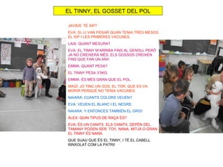 EL TINNY, EL GOSSET DEL POL

JAVIER: TÉ XIP?
EVA: SI, LI VAN POSAR QUAN TENIA TRES MESOS.
EL XIP I LES PRIMERES VACUNES.
LAIA: QUANT MESURA?
EVA: EL TINNY M’ARRIBA FINS AL GENOLL PERÒ
JA NO CREIXERÀ MÉS. ELS GOSSOS CREIXEN
FINS QUE FAN UN ANY.
EMMA: QUANT PESA?
EL TINNY PESA 3’5KG
EMMA: ÉS MÉS GRAN QUE EL POL.
MAGÍ: JO TINC UN GOS, EL TOR, QUE ES VA
MORIR PERQUÈ NO TENIA VACUNES.
NAIARA: CUANTS COLORS VEUEN?
EVA: VEUEN EL BLANC I EL NEGRE.
NAIARA: Y ENTONCES TAMBIÉN EL GRIS!
ÀLEX: QUIN TIPUS DE RAÇA ÉS?
EVA: ÉS UN CANITX. ELS CANITX, DEPÈN DEL
TAMANY PODEN SER: TOY, NANA, MITJÀ O GRAN.
EL TINNY ÉS NANA.
QUE SUAU QUE ÉS EL TINNY, I TÉ EL CABELL
RINXOLAT COM LA PATRI!
 
