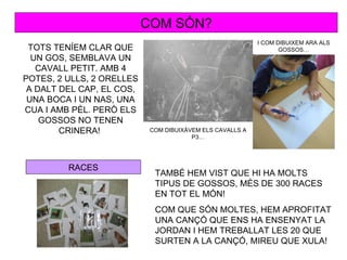 COM SÓN?
                                                           I COM DIBUIXEM ARA ALS
 TOTS TENÍEM CLAR QUE                                             GOSSOS…
  UN GOS, SEMBLAVA UN
   CAVALL PETIT. AMB 4
POTES, 2 ULLS, 2 ORELLES
 A DALT DEL CAP, EL COS,
 UNA BOCA I UN NAS, UNA
CUA I AMB PÈL. PERÒ ELS
    GOSSOS NO TENEN
        CRINERA!            COM DIBUIXÀVEM ELS CAVALLS A
                                        P3…




         RACES
                             TAMBÉ HEM VIST QUE HI HA MOLTS
                             TIPUS DE GOSSOS, MÉS DE 300 RACES
                             EN TOT EL MÓN!
                             COM QUE SÓN MOLTES, HEM APROFITAT
                             UNA CANÇÓ QUE ENS HA ENSENYAT LA
                             JORDAN I HEM TREBALLAT LES 20 QUE
                             SURTEN A LA CANÇÓ, MIREU QUE XULA!
 