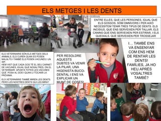 ELS METGES I LES DENTS
                                                            ENTRE ELLES, QUE LES PERSONES, IGUAL QUE
                                                              ELS GOSSOS, SÓM OMNÍVORS I PER AIXÒ
                                                            NECESSITEM TENIR TRES TIPUS DE DENTS. ELS
                                                           INCISIUS, QUE ENS SERVEIXEN PER TALLAR, ELS
                                                           CANINS QUE ENS SERVEIXEN PER ESTIRAR, I ELS
                                                             QUEIXALS, QUE SERVEIXEN PER TROSSEJAR

                                                                                  I… TAMBÉ ENS
                                                                                  VA ENSENYAR
ELS VETERINARIS SÓN ELS METGES DELS
                                                                                  COM ENS HEM
ANIMALS. ELS CUREN QUAN ES POSEN         PER RESOLDRE                            DE RENTAR LES
MALALTS I TAMBÉ ELS POSEN VACUNES I UN   AQUESTS                                      DENTS!
XIP.
                                         DUBTES VA VENIR
HEM VIST QUE CADA GOS TÉ EL SEU CARNET                                           FAMÍLIES, JA HO
DE VACUNES, IGUAL QUE NOSALTRES, ON EL   LA PILAR, UNA
VETERINARI APUNTA TOTES LES VACUNES      HIGENISTA BUCO-                            HEU APRÈS
QUE POSA AL GOS I QUAN LI TOCARÀ LA
PRÒXIMA.                                 DENTAL I ENS VA                           VOSALTRES
ELS VETERINÀRIS TAMBÉ MIREN LES DENTS.   EXPLICAR UN                                 TAMBÉ?
PERÒ LES NOSTRES DENTS QUI LES MIRA?     MUNT DE COSES!
 