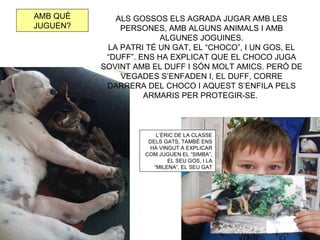 AMB QUÈ      ALS GOSSOS ELS AGRADA JUGAR AMB LES
JUGUEN?       PERSONES, AMB ALGUNS ANIMALS I AMB
                       ALGUNES JOGUINES.
           LA PATRI TÉ UN GAT, EL “CHOCO”, I UN GOS, EL
           “DUFF”. ENS HA EXPLICAT QUE EL CHOCO JUGA
          SOVINT AMB EL DUFF I SÓN MOLT AMICS. PERÒ DE
              VEGADES S’ENFADEN I, EL DUFF, CORRE
           DARRERA DEL CHOCO I AQUEST S’ENFILA PELS
                    ARMARIS PER PROTEGIR-SE.



                       L’ÉRIC DE LA CLASSE
                    DELS GATS, TAMBÉ ENS
                    HA VINGUT A EXPLICAR
                   COM JUGUEN EL “SIMBA”,
                           EL SEU GOS, I LA
                      “MILENA”, EL SEU GAT
 