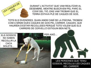 E
         E SD       DURANT L’ACTIVITAT QUE VAM REALITZAR AL
       QU           DESEMBRE, MENTRE BUSCÀVEM PEL PARC EL
     CA OS
    S G
 LE                   COIXÍ DEL TIÓ, ENS VAM TROBAR QUE EL
                      TERRA ESTAVA PLÈ DE CAQUES DE GOS.

    TOTS ELS DIVENDRES, QUAN ANEM CAMÍ DE LA PISCINA, TROBEM
    COM A MÍNIM DUES CAQUES DE GOS PEL CARRER. CAQUES, QUE
     HAURÍEN D’ESTAR RECOLLIDES PERQUÈ TOTS VOLEM QUE ELS
            CARRERS DE CERVELLÓ ESTIGUIN BEN NETS.


ELS GOSSOS,                    PER AIXÒ…
 NO SABEN
RECOLLIR LA
   CACA
 SOLETS…




                                       LES PERSONES QUE TENIU
                                     GOSSOS, RECOLLIU LES CAQUES
                                             DEL CARRER!
 