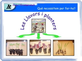 Què necessitem per fer-ho?

           v o rs i p l a
      la




                       nt
 L
Les




                         er s
 