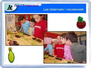 Les observem i reconeixem
 
