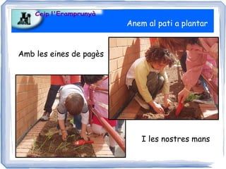 Anem al pati a plantar


Amb les eines de pagès




                             I les nostres mans
 