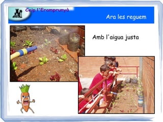 Ara les reguem


Amb l'aigua justa
 