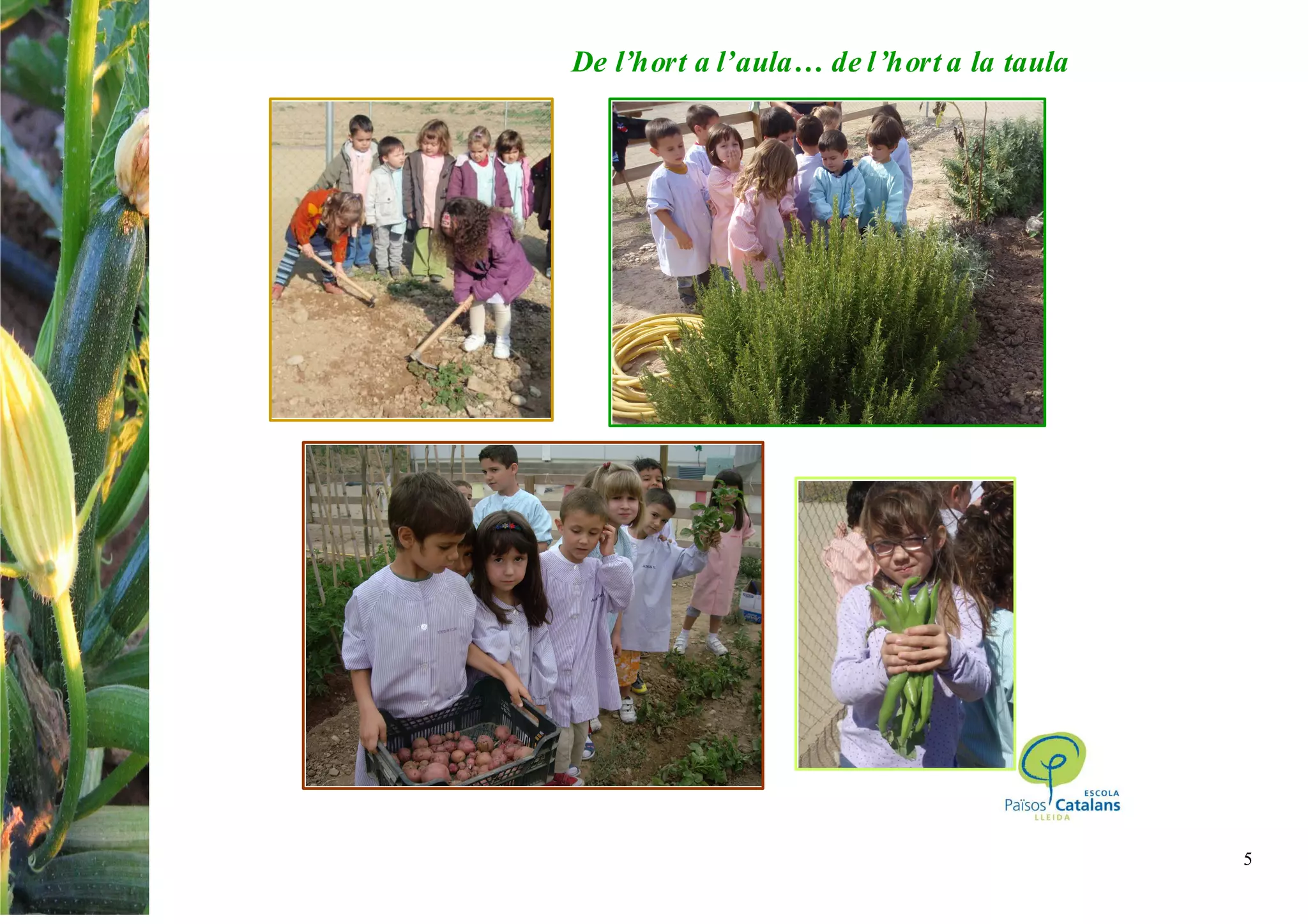 5
De l’hort a l’aula… de l’hort a la taula
 