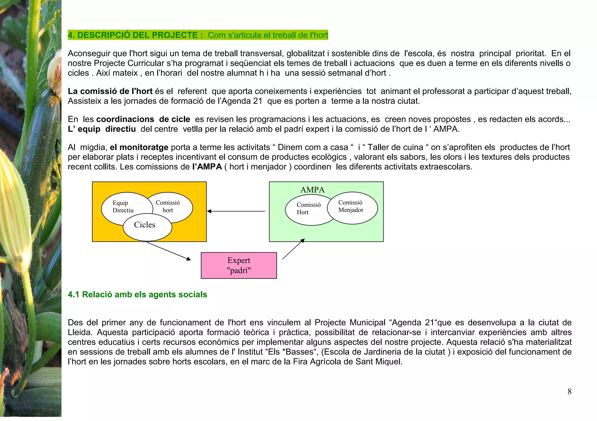 8
4. DESCRIPCIÓ DEL PROJECTE : Com s'articula el treball de l'hort
Aconseguir que l'hort sigui un tema de treball transversal, globalitzat i sostenible dins de l'escola, és nostra principal prioritat. En el
nostre Projecte Curricular s’ha programat i seqüenciat els temes de treball i actuacions que es duen a terme en els diferents nivells o
cicles . Així mateix , en l’horari del nostre alumnat h i ha una sessió setmanal d’hort .
La comissió de l'hort és el referent que aporta coneixements i experiències tot animant el professorat a participar d’aquest treball,
Assisteix a les jornades de formació de l’Agenda 21 que es porten a terme a la nostra ciutat.
En les coordinacions de cicle es revisen les programacions i les actuacions, es creen noves propostes , es redacten els acords...
L’ equip directiu del centre vetlla per la relació amb el padrí expert i la comissió de l’hort de l ‘ AMPA.
Al migdia, el monitoratge porta a terme les activitats “ Dinem com a casa “ i “ Taller de cuina “ on s’aprofiten els productes de l’hort
per elaborar plats i receptes incentivant el consum de productes ecològics , valorant els sabors, les olors i les textures dels productes
recent collits. Les comissions de l’AMPA ( hort i menjador ) coordinen les diferents activitats extraescolars.
4.1 Relació amb els agents socials
Des del primer any de funcionament de l'hort ens vinculem al Projecte Municipal “Agenda 21“que es desenvolupa a la ciutat de
Lleida. Aquesta participació aporta formació teòrica i pràctica, possibilitat de relacionar-se i intercanviar experiències amb altres
centres educatius i certs recursos econòmics per implementar alguns aspectes del nostre projecte. Aquesta relació s'ha materialitzat
en sessions de treball amb els alumnes de l' Institut “Els *Basses“, (Escola de Jardineria de la ciutat ) i exposició del funcionament de
l’hort en les jornades sobre horts escolars, en el marc de la Fira Agrícola de Sant Miquel.
Comissió
hort
Equip
Directiu
AMPA
Comissió
Hort
Comissió
Menjador
Expert
"padrí"
Cicles
 